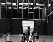 bbcd1 1968_004 My beautiful picture