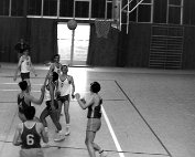 bbcd1 1968_006 My beautiful picture