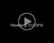 Härebierg 10.3.2016