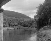 parc 1961_003 My beautiful picture