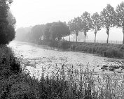 laanscht sauer 1962_002 My beautiful picture