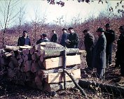 holzstee 1963_004 My beautiful picture