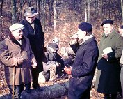 holzstee 1963_005 My beautiful picture