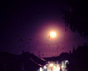 vues dikrich 1964_005 My beautiful picture