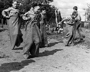 scouten 1969_008 My beautiful picture