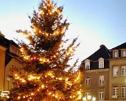 chrschtbam 4.12.1977_003 My beautiful picture