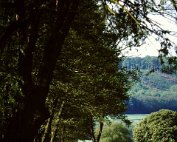 lanscht sauer 22.5. 1977_009 My beautiful picture