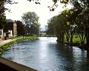 lanscht sauer 22.5. 1977_011 My beautiful picture