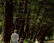 lanscht sauer 22.5. 1977_013