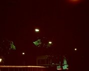 lanscht sauer 22.5. 1977_014 My beautiful picture