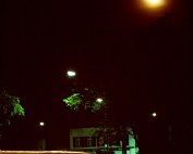 lanscht sauer 22.5. 1977_015 My beautiful picture