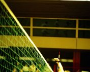 volleyball 18.2.1978_001 My beautiful picture