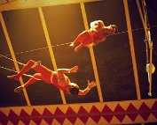 zirkus 12.11.1978_012 My beautiful picture