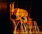 zirkus 12.11.1978_016 My beautiful picture