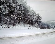 dikrich 14.1.1979_007 My beautiful picture