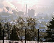 dikrich 14.1.1979_017 My beautiful picture