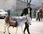 Cavalcade_002 My beautiful picture