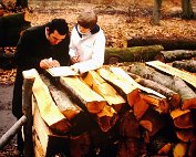 holzstee 22.3.1980_003 My beautiful picture