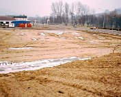 Cactus_001 My beautiful picture