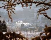 dikrich 15.3.1981_001