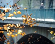 parc 11.10.1981_004 My beautiful picture