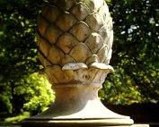 dikrich 06.1982_013 My beautiful picture