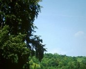 Dikrich am Abrëll_013 My beautiful picture