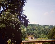 Dikrich am Abrëll_017 My beautiful picture