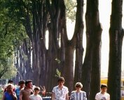 Parc 13.4._002 My beautiful picture