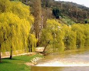 Parc 13.4._004 My beautiful picture