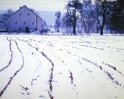 Wanter 19.1._007 My beautiful picture