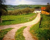 Landschaft 11.5._003 My beautiful picture