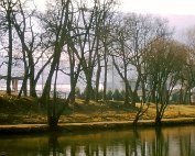 Parc 13.4._003 My beautiful picture