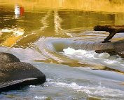 Parc 13.4._006 My beautiful picture