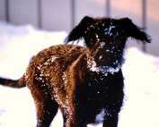 Wanter 5.1._001 My beautiful picture