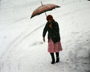 Wanter 5.1._007 My beautiful picture