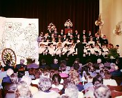 Concert 5.4._006 My beautiful picture