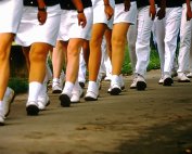 marche 14.6.87_005 My beautiful picture