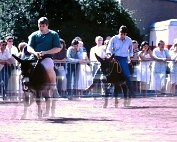 Aal Kiermess 10.7.1988 _020 My beautiful picture
