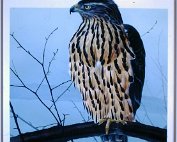 Ausstellung 4.5.1989_004 My beautiful picture