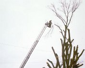 Baam 19.9.89_008 My beautiful picture