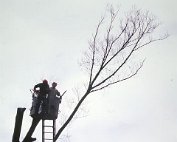 Baam 19.9.89_009 My beautiful picture