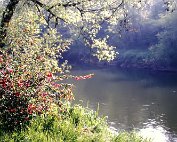 Parc 5.4.1989 _010 My beautiful picture