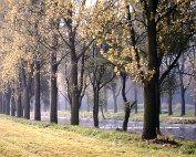 Parc 5.4.1989 _012 My beautiful picture