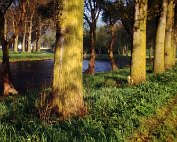 Parc 5.4.1989 _016 My beautiful picture