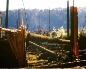 Sturm 5.5.90_001 My beautiful picture