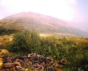 um Tipp 1.8._005 My beautiful picture