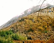 um Tipp 1.8._006 My beautiful picture