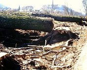 Beem lanscht Sauer 13.3.1995_006 My beautiful picture