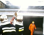 Brand 7.3.1995_009 My beautiful picture